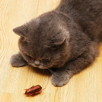 

[MPK Store] Battery Powered Mouse Shape Toy For Cats, Mouse Fun Cat Toy, Mouse Toy