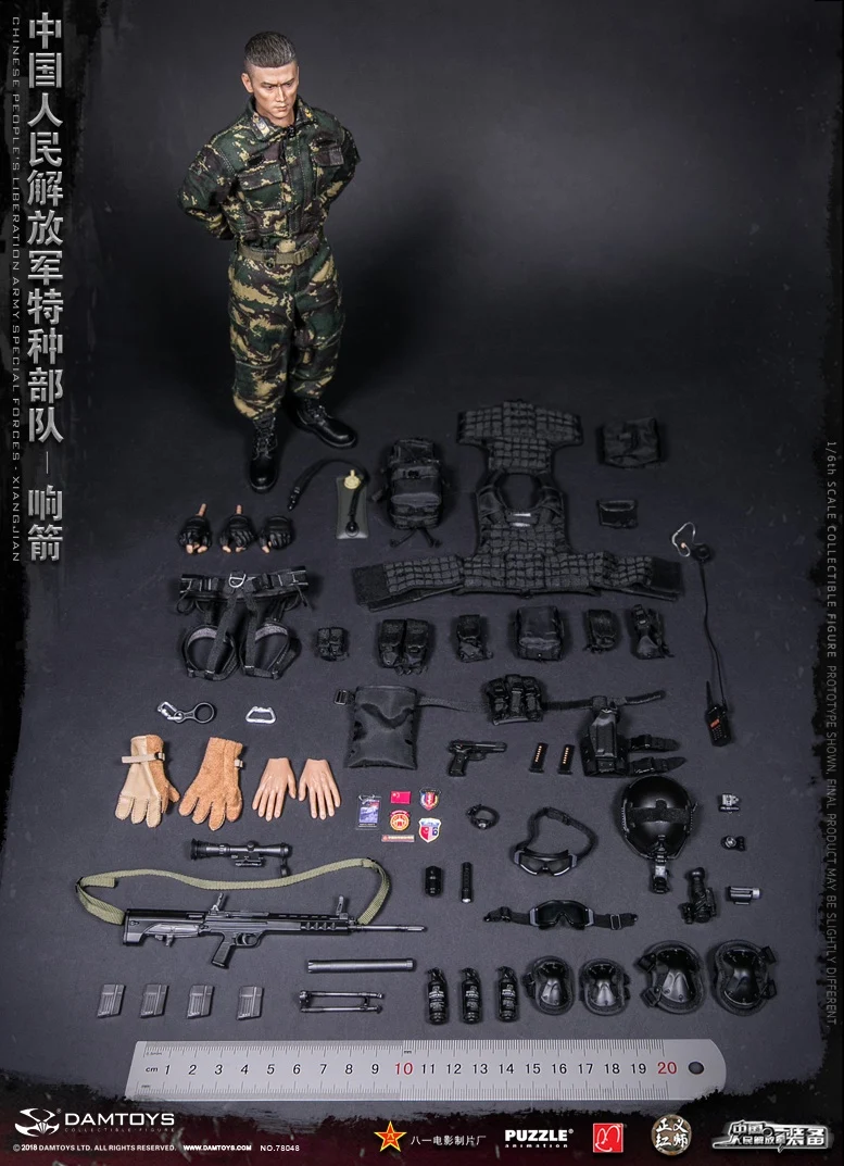 DAMTOYS 1/6 китайский пла спецназ XIANGJIAN 78048 Collcetion фигурка