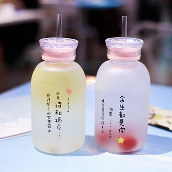 

450ml Matte Glass Sippy Bottle Cute Double Lids Straw Cup for Milk Tea Juice Student Portable Water Bottles Summer Drinkware