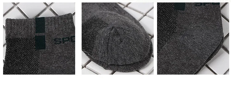 11335551744_244521836