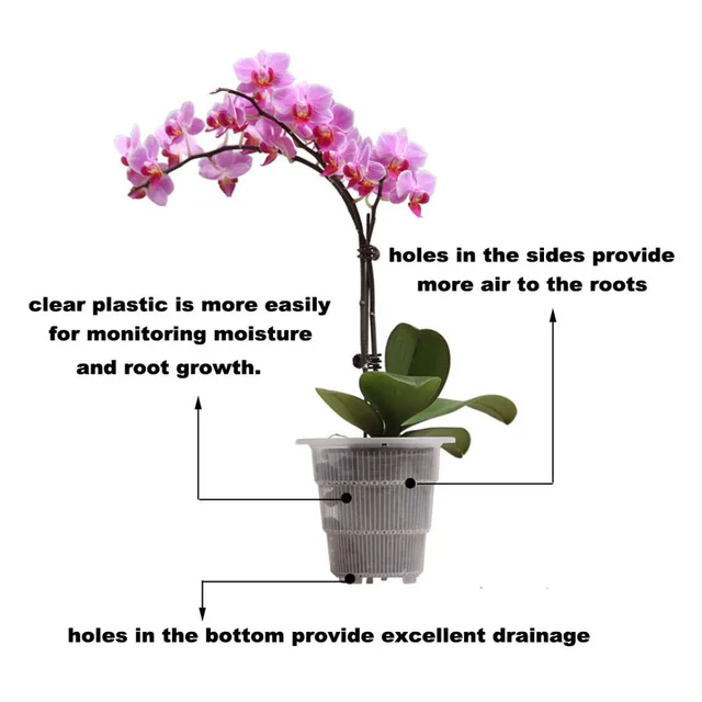 6 Csomag Frissítés 10 Cm Tiszta Orchidea Edények Alokázia Óvodai Levegő Oszlopokkal Átlátszó Műanyag Virágcserépekkel, Lyukakkal - Image 3