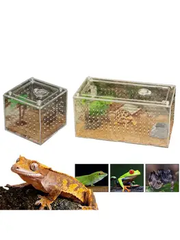 

L/S Sizes Reptile Breeding Box Clear Acrylic Reptile Terrarium Feeding Box For Spider Lizard Frog Cricket