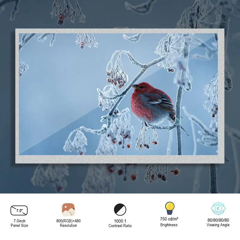 

Original Innolux JJ070IA-18L 7 Inch 750 Nits 800 * 480 SRGB LCD Display Screen LVDS Interface 50 Pins TFT Module