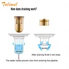 Bathroom Fixture