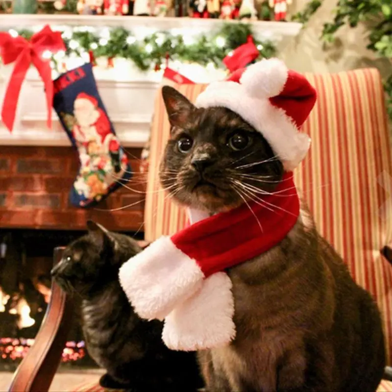Pet Santa Hat Scarf Collar Set Christmas Dog Cat Caps Costume For Puppy Kitten Small Cats Dogs Pets Birthday Accessories | Дом и сад