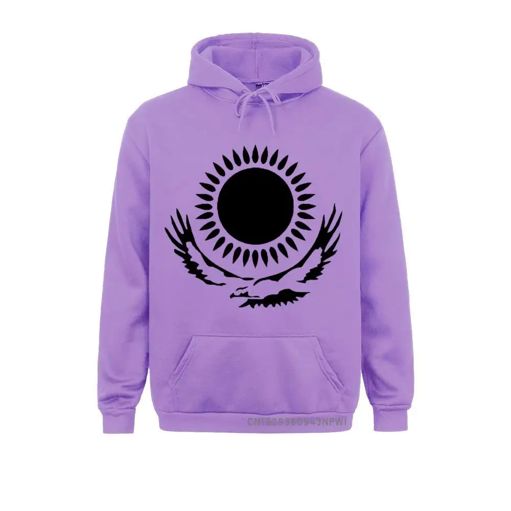 22425 Hoodies New Coming Fashionable Long Sleeve Boy Sweatshirts Summer Sportswears Top Quality 22425 purple