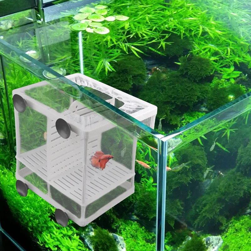 Udgraded Super Dense Fish Breeding Isolation Mesh Box Net Incubator Breeder For Fish Tank Gauze Trap S/L Aquarium Accessories
