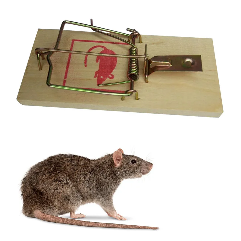 

Reusable Wooden Mouse Traps Bait Mice Vermin Rodent Pest Control Mousetraps Trap Home Garden Outdoor Use Mouse Trap