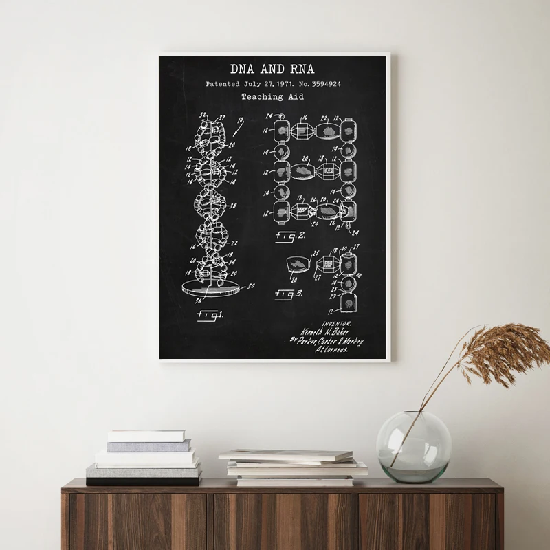 human dna and rna teaching aid patent poster genetics biology wall art canvas print medical student gift science painting decor