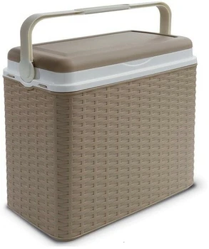 

nevera portátil para playa piscina camping 24Lde Rattan