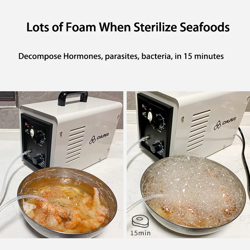 5g ozone machine with ceramic tube