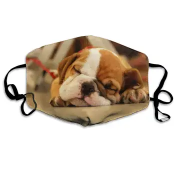 

Sleeping Cute Bulldog Puppy Washable Reusable Mask, Cotton Anti Dust Half Face Mouth Mask For Kids Teens Men Women With