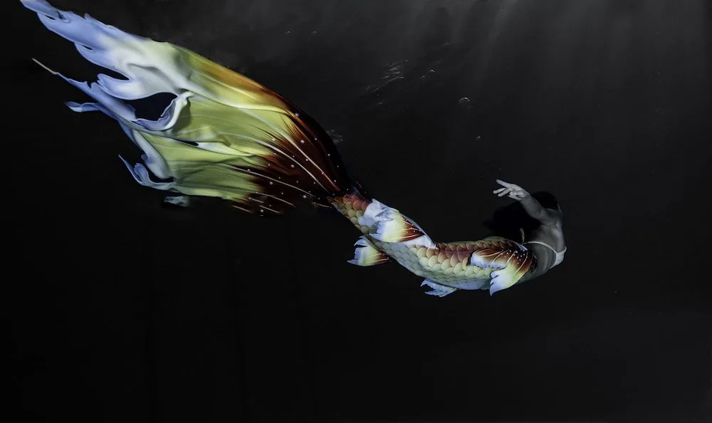 Рисунок 4 - Женский сверхдлинный купальник-русалка