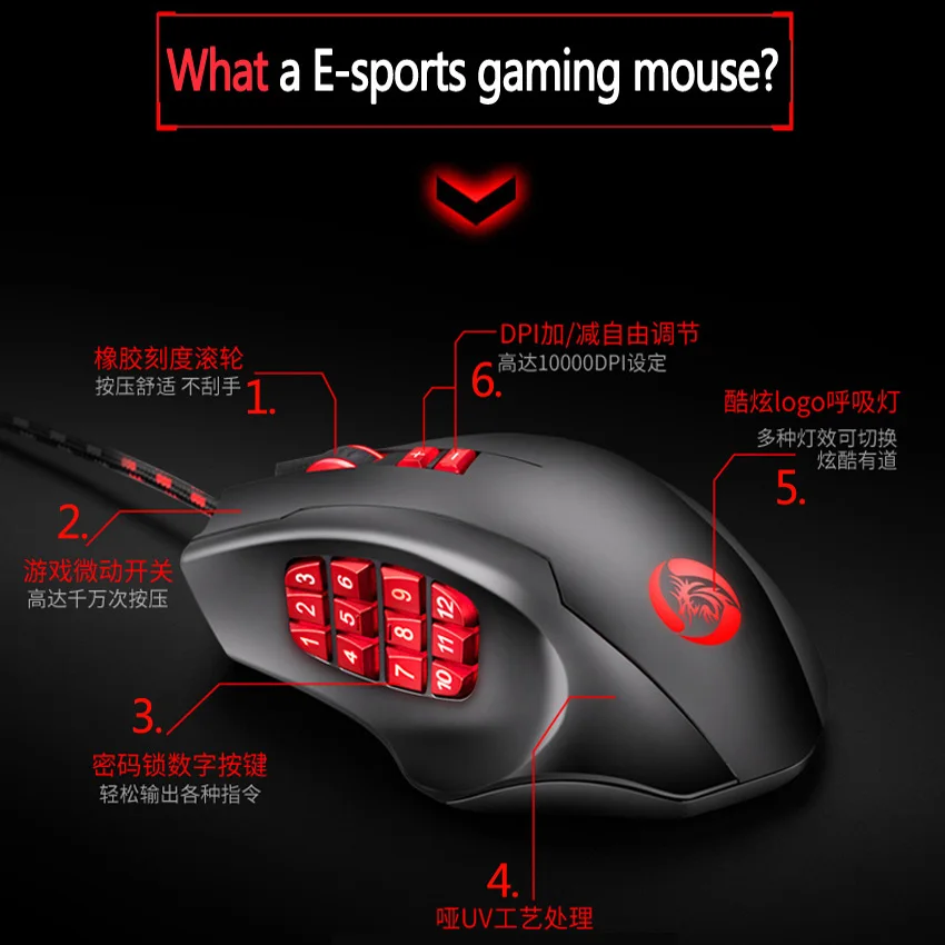 Computer Peripherals