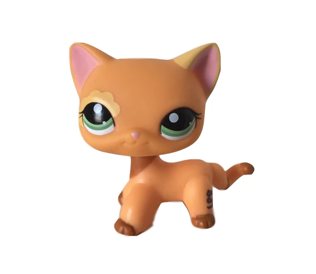 Lps Pet Shop Toys Real Rare Persian Cat Chat Persan Yellow Kitty Old Original Toy Free Shipping Action Figures Aliexpress