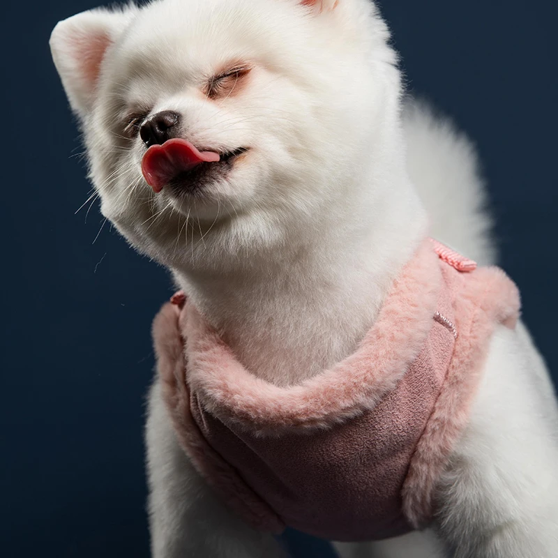 UFBemo комплект шлейки для собак жилет и поводок товары домашних животных теплая