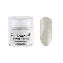 Acrylic Powder System- Acrylic Nail Art Kits UV Gel Powder Design Decorations Silver Glitters Collection Kit 5Gram/Jar