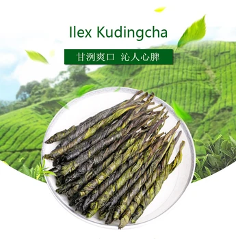 

Green Tea Wild Kuding Tea New Tea Super Green Mountain Green Water 250g