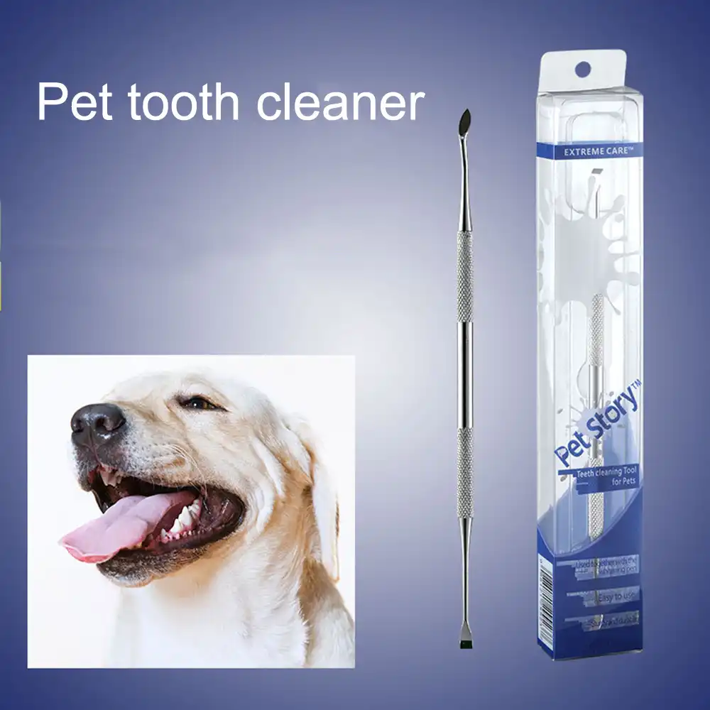 dog grooming teeth cleaning