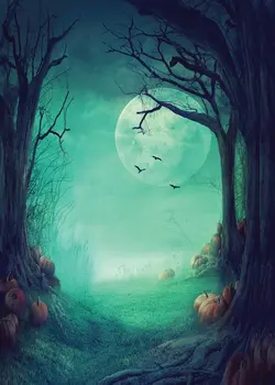

Night Halloween Themed Backdrop for Photography Fall Pumpkin Children Newborn Portrait Background Decor Photo Booth Shoot Props