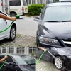 Garden Hose Pipe Water Hose Expandable Magic Hose 7 Patterns Water Gun Foam Pot flexible reels hose Car Wash Gun Sprayer 4