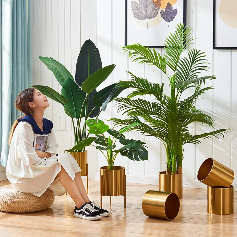 O1CN01q7qhV01zqsLvIy0LV_!!2482926766