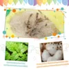 Interactive Catnip Plush Toy for Cats 5