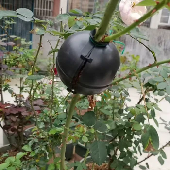 

Indoor Outdoor Breeding Assisted Plant Rooting Device High Pressure Growing Reusable Propagation Ball Grafting Box ABS Durable