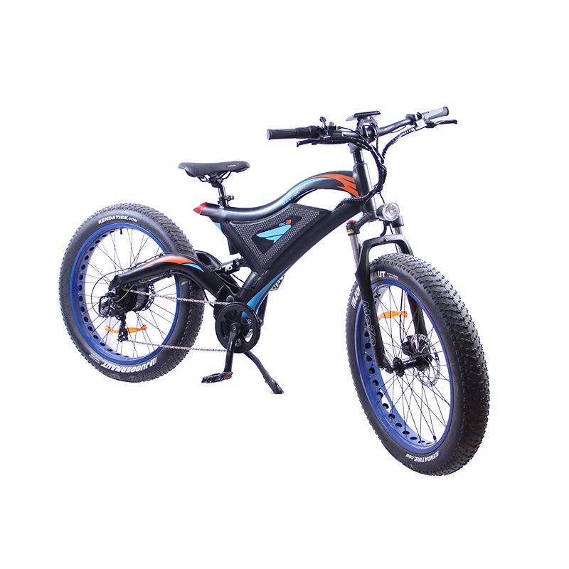 750W 14AH Электрический велосипед EZBIKE, 48 В, 750 Вт, горный Гибридный электровелосипед, внутри 11.6AH, литий-ионный аккумулятор, городской, толстый, дорожный, электрический велосипед - Цвет: 750W 14AH