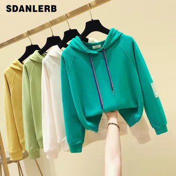 

Spring Autumn Sweatshirt for Women and Men Thin Hooded Hoodie 2019 New Women's Ins Loose Coat Students Long Sleeve Befree Jacket