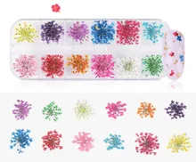 

Mix Dried Flowers 3D Real Natural Dry Flowers Stickers Fall Leaves Floral Nail Art Decoration Tips DIY Manicure Tools Design