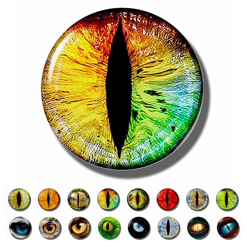 Fashion Dragon Eyes Fridge Cabochons 30 MM Animal Eye Fridge Sticker Stuff Refrigerator