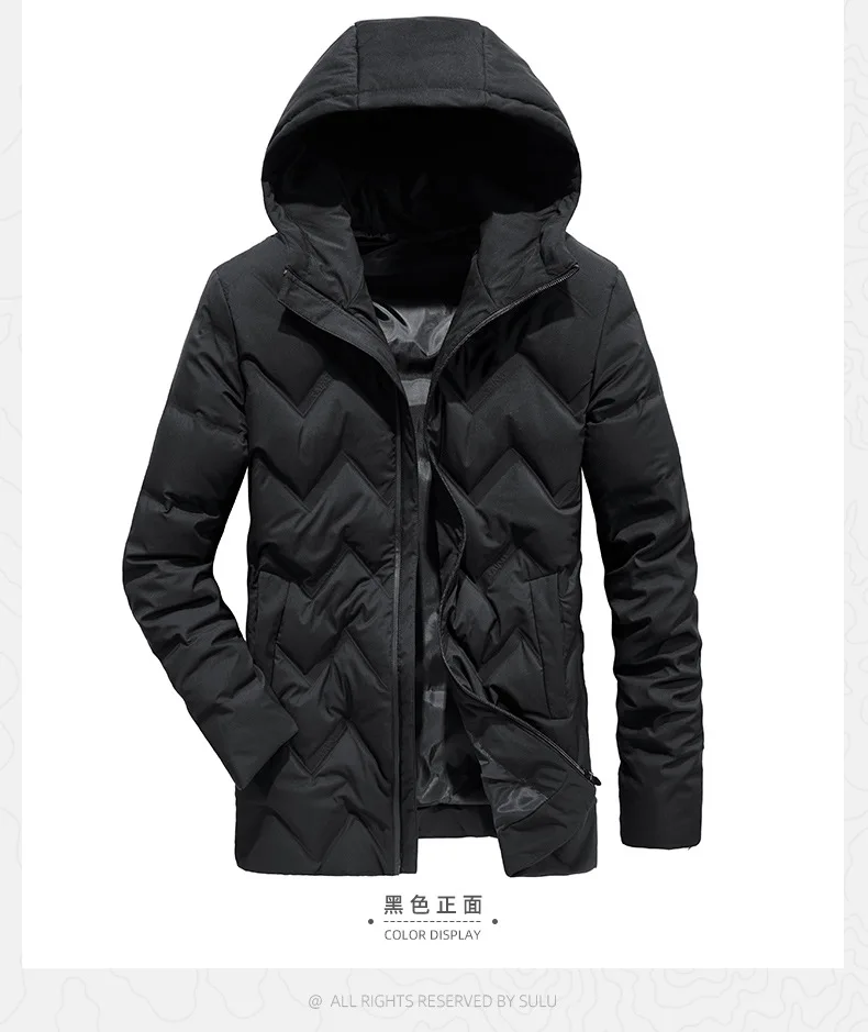 New Style Casual down Coat for Men Wash And Wear Treatment General-Urban Fashion Hooded Turn-down Collar Coat
