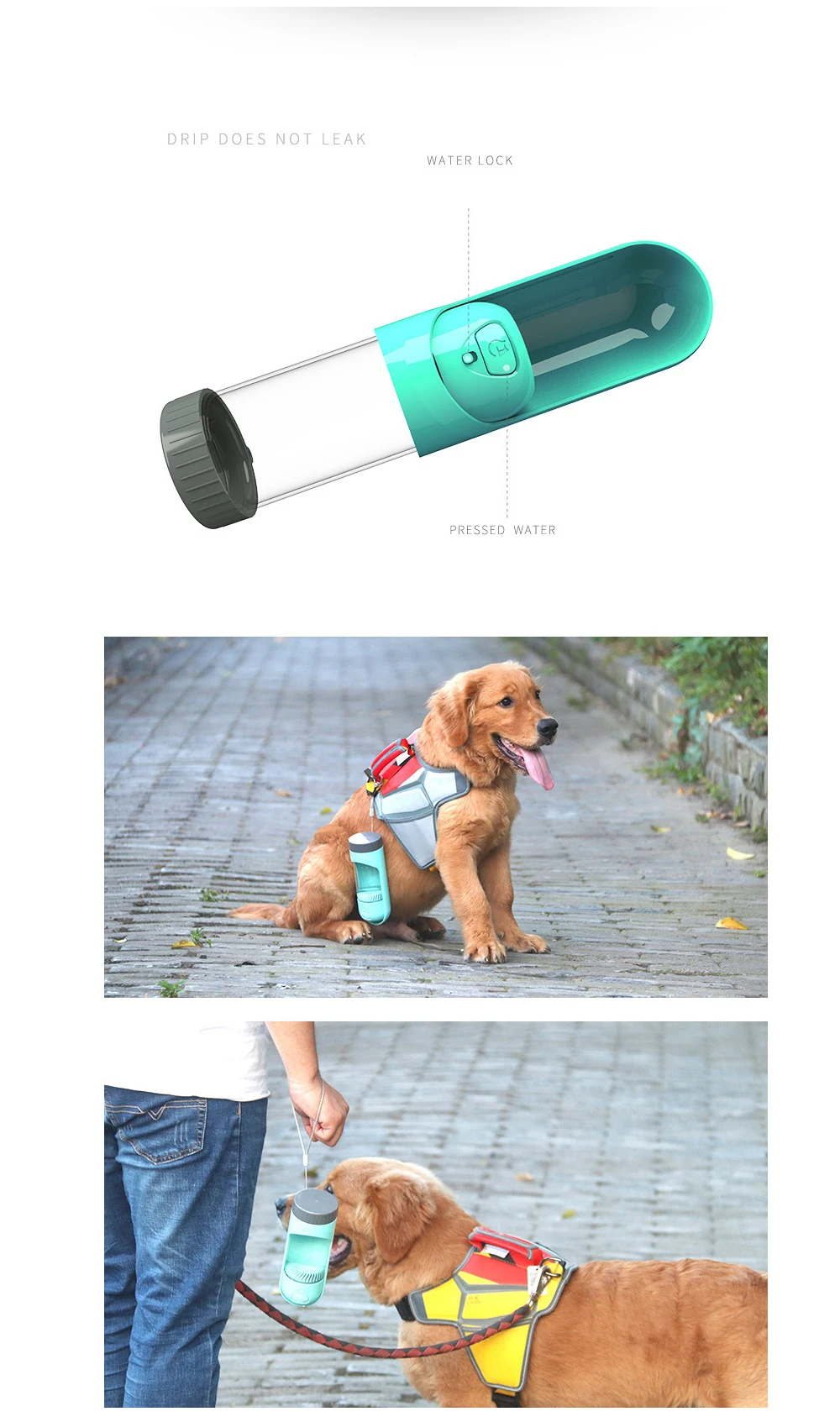 HTB1JShQKr1YBuNjSszeq6yblFXa7