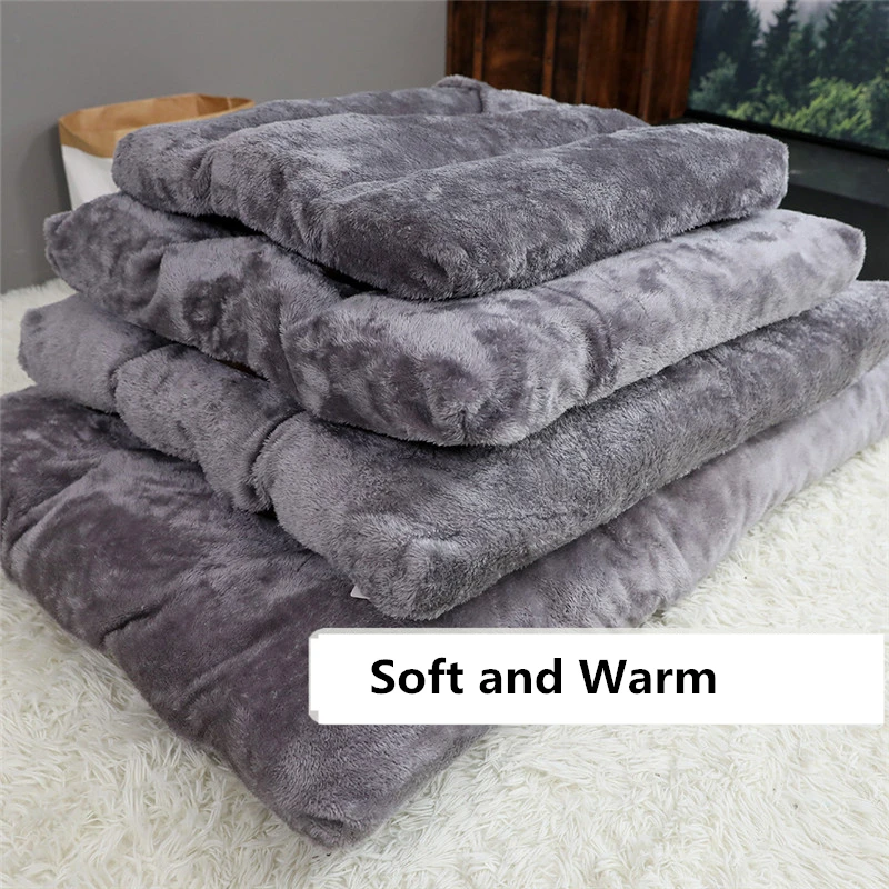 201911283626381951658423