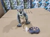 Spray Dinosaur Kids Pet Remote Control Toys Walking Tyrannosaurus Animal Model Color Light Sounds Children Gift 5