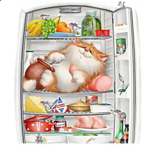 36020190311205843176