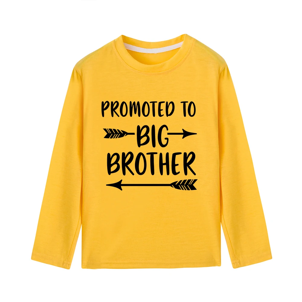 Детская футболка с надписью «Big Brother»; топы для мальчиков; Осенняя рубашка с длинными рукавами для маленьких мальчиков; повседневная детская одежда; футболки для девочек - Цвет: 42X3-KLTYE-