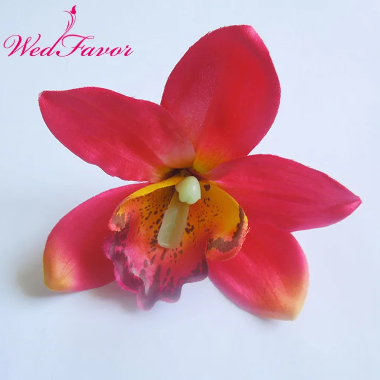 DSCN5327_副本