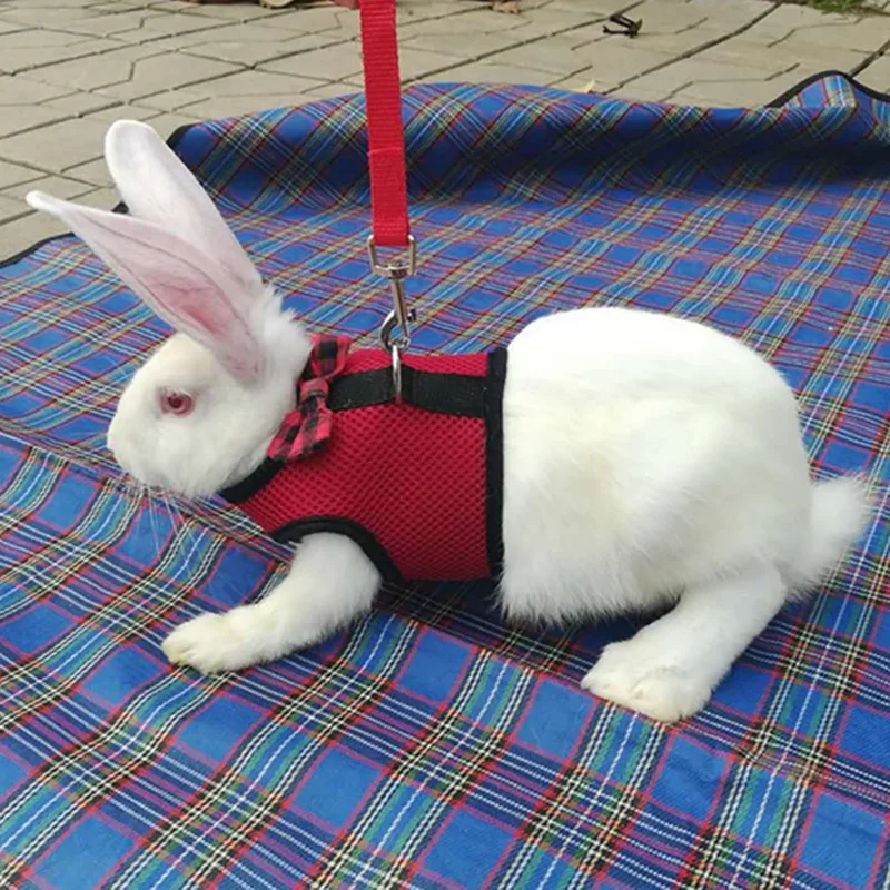 Ремни для кроликов хомяка жилет с Leas Bunny сетчатые нагрудные ремни хорька морской