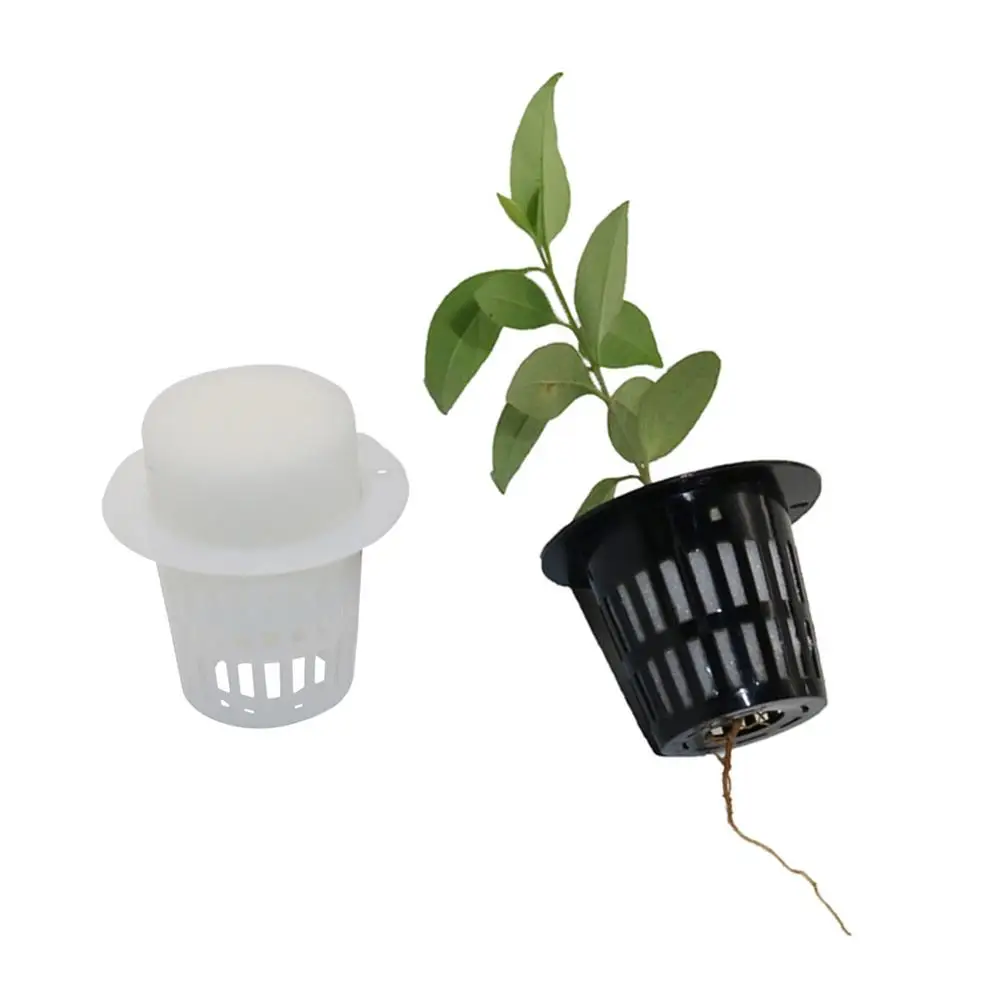 Bezglebowa hydroponiczna przedszkola kubki 35x45mm hydroponicznych kolonizacji netto garnki sadzonka Mesh kiełkować kosz siewu gąbka 20 sztuk