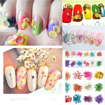 

Professional Dried Flowers Nail Art Set Fashion Salon Multiple Combinations Fruit Feather Slices Dried Flowers For Nails HIAISB