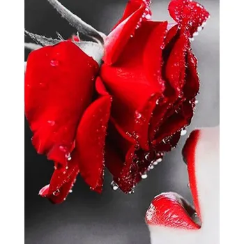 

GATYZTORY 5D DIY Diamond Painting Rose Flower Home Decoration Full Drill Square Embroidery Picture Handcraft Kit