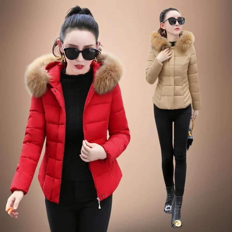 

2019 Winter New Style down Jacket Women's Short Slim Fit Korean-style Hooded Fashion down Feather Cotton Jacket