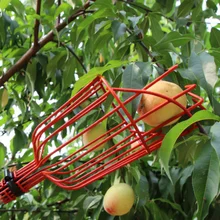 Cueilleurs de fruits de jardin à haute altitude, outils pratiques de cueillette à la ferme