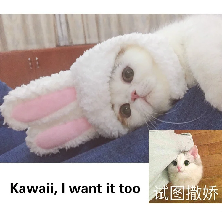 Кошка капюшон милый кролик костюм шляпа кошка головной убор шоу реквизит забавная шляпа для животных кроличьи уши
