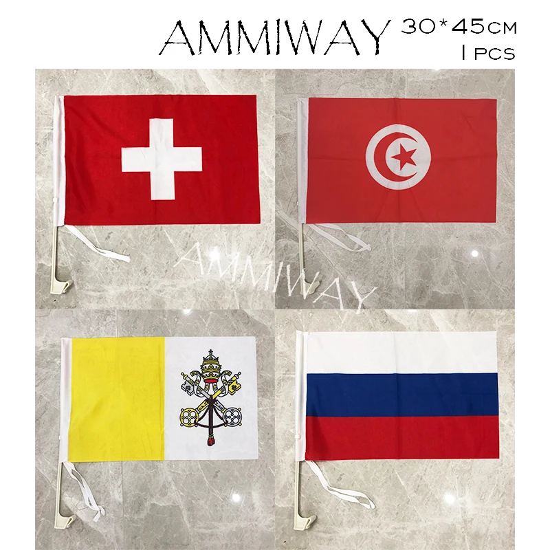 AMMIWAY 30x45 см 1 шт. автомобильный оконный флаг Швейцария Ватикан Россия страна мира