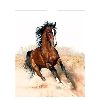 

GATYZTORY DIY Painting By Numbers Horse Picture HandPainted Oil Painting Zero Basis Colouring Home Decor Custom Photo