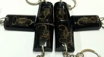 

10 pcs Scorpion Insect Black Big Color KeyChain Taxidermy Display