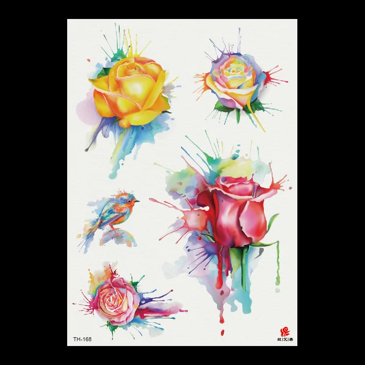 8562857390_1270164057